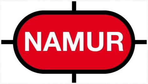 NAMUR輸出的原理是什么